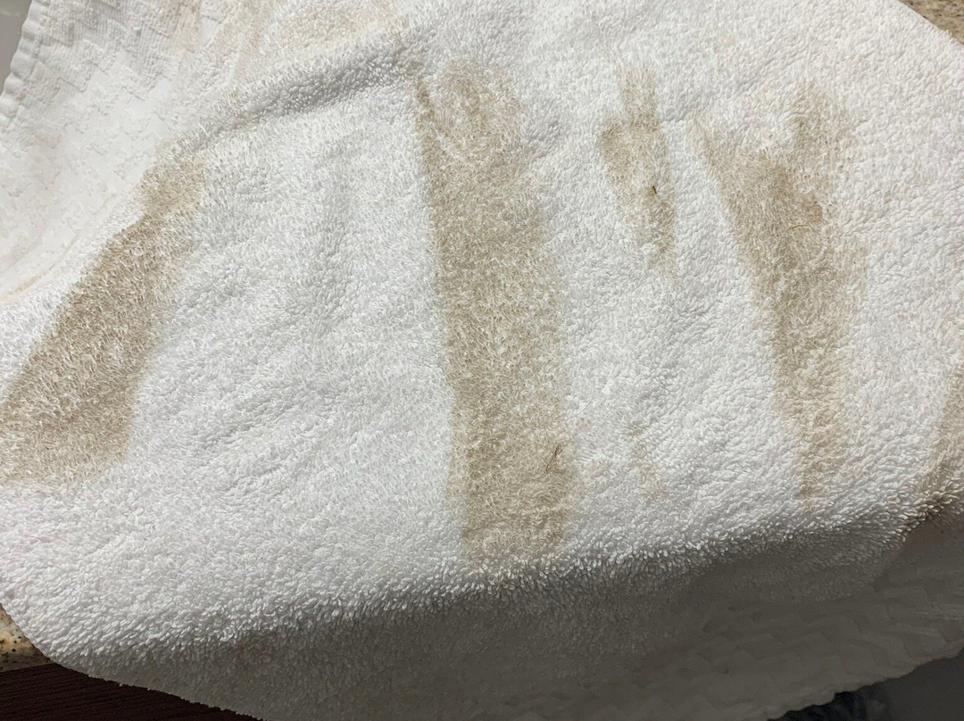 Best Western Discovery Inn主图