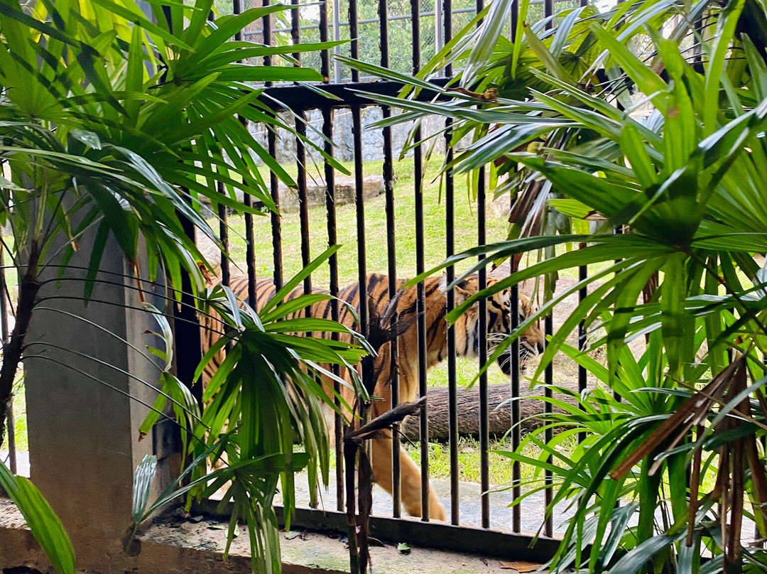 Dehiwala Zoo景点图片