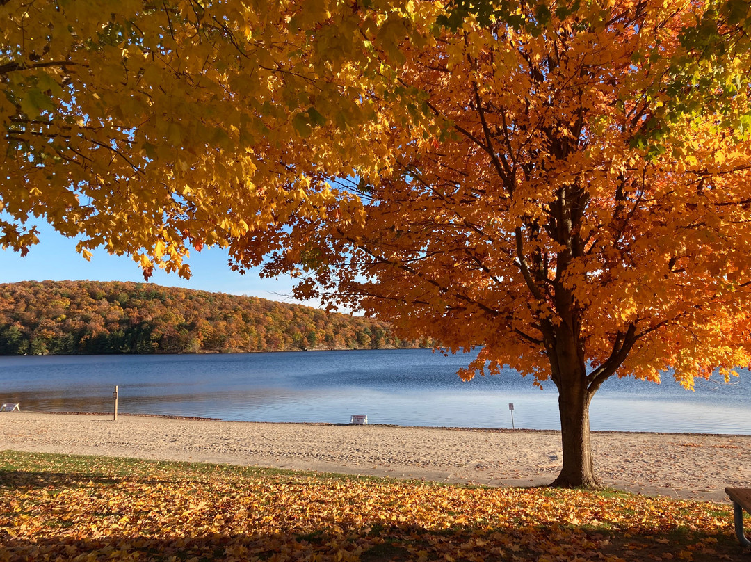 Lake Taghkanic State Park-Ancram必去景点