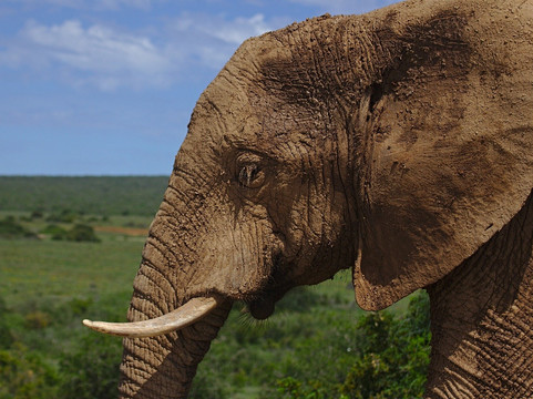 Kruger to Cape-开普敦中心区必去景点