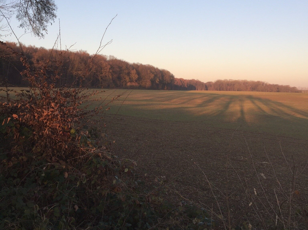 Mametz War Memorial景点图片