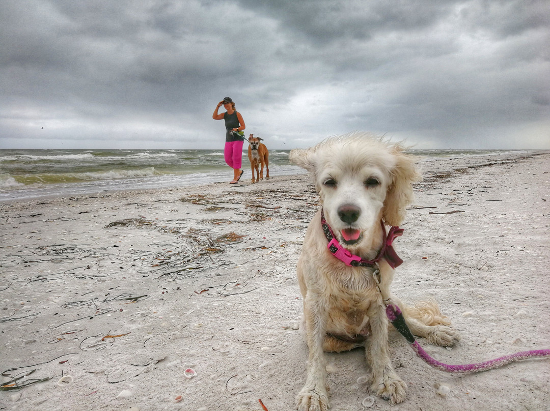 Anchor Inn & Cottages主图