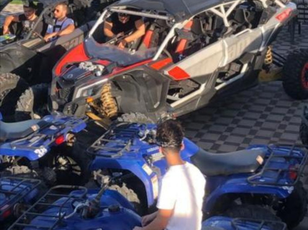 Horse Luxury Buggy Dubai-沙迦必去景点