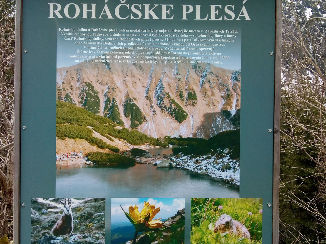 Rohacske plesa景点图片