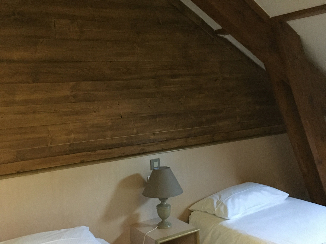 Hôtel Le Savoie主图