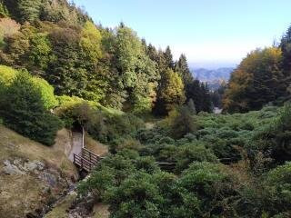 Conca dei Rododendri景点图片