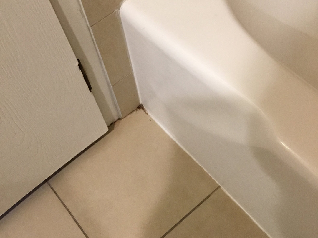 奥马哈阿克萨套房主图