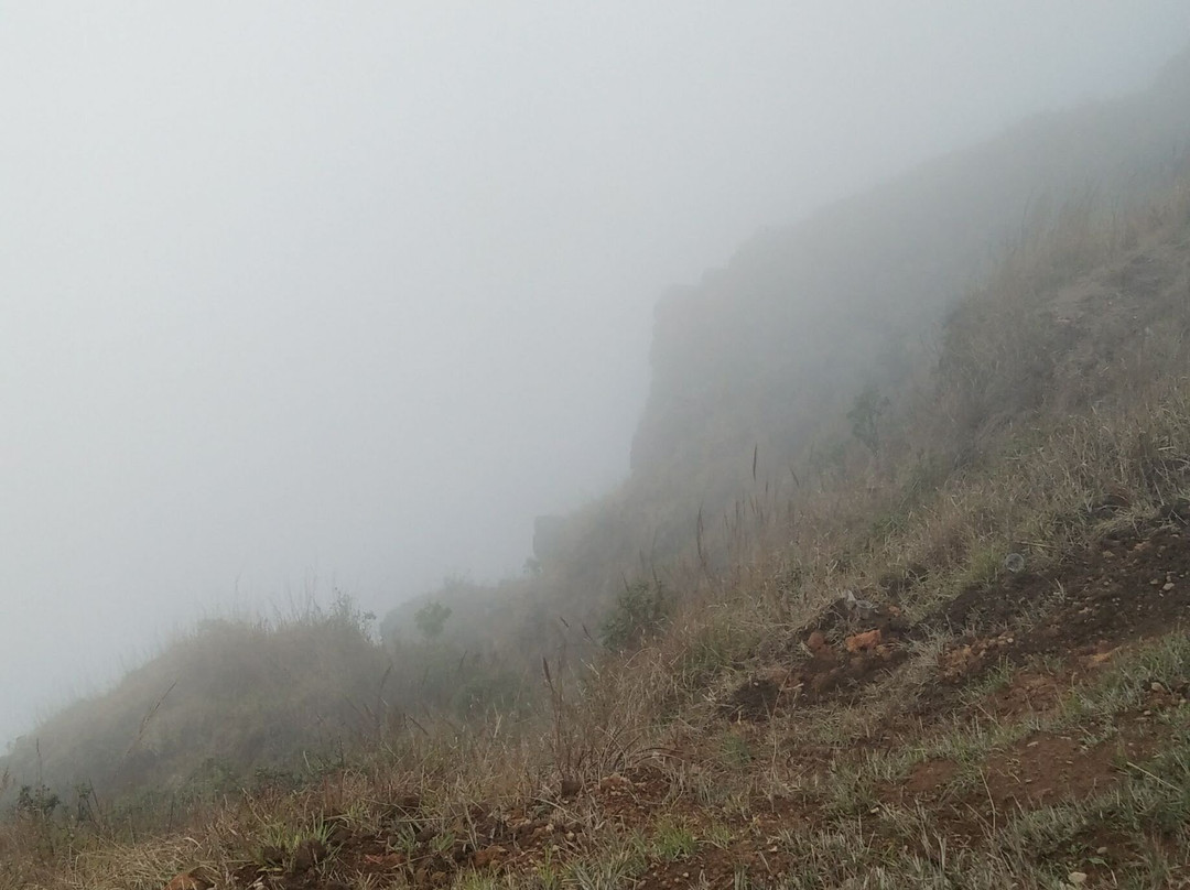 Laitlum Canyons景点图片