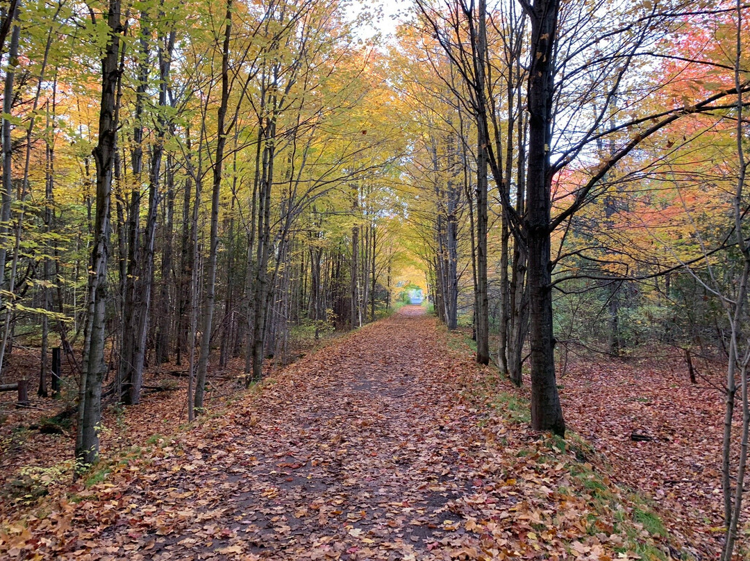 Elora Cataract Trailway-伊劳拉必去景点