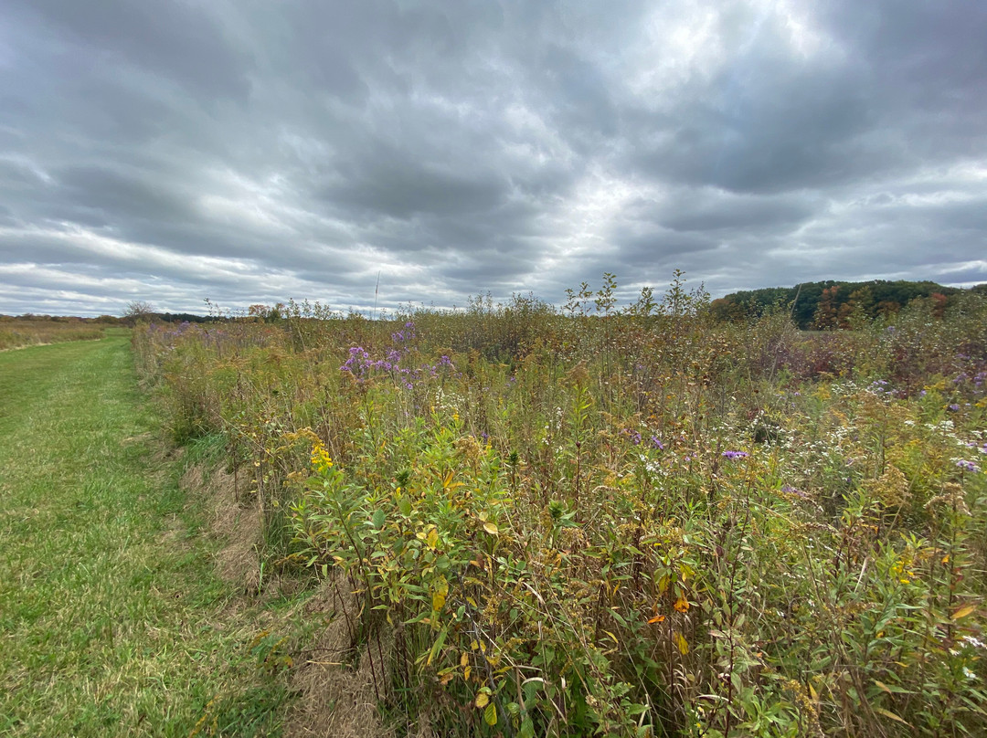 Swine Creek Reservation