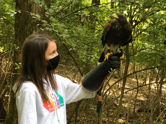 Ohio School Of Falconry-哥伦布必去景点