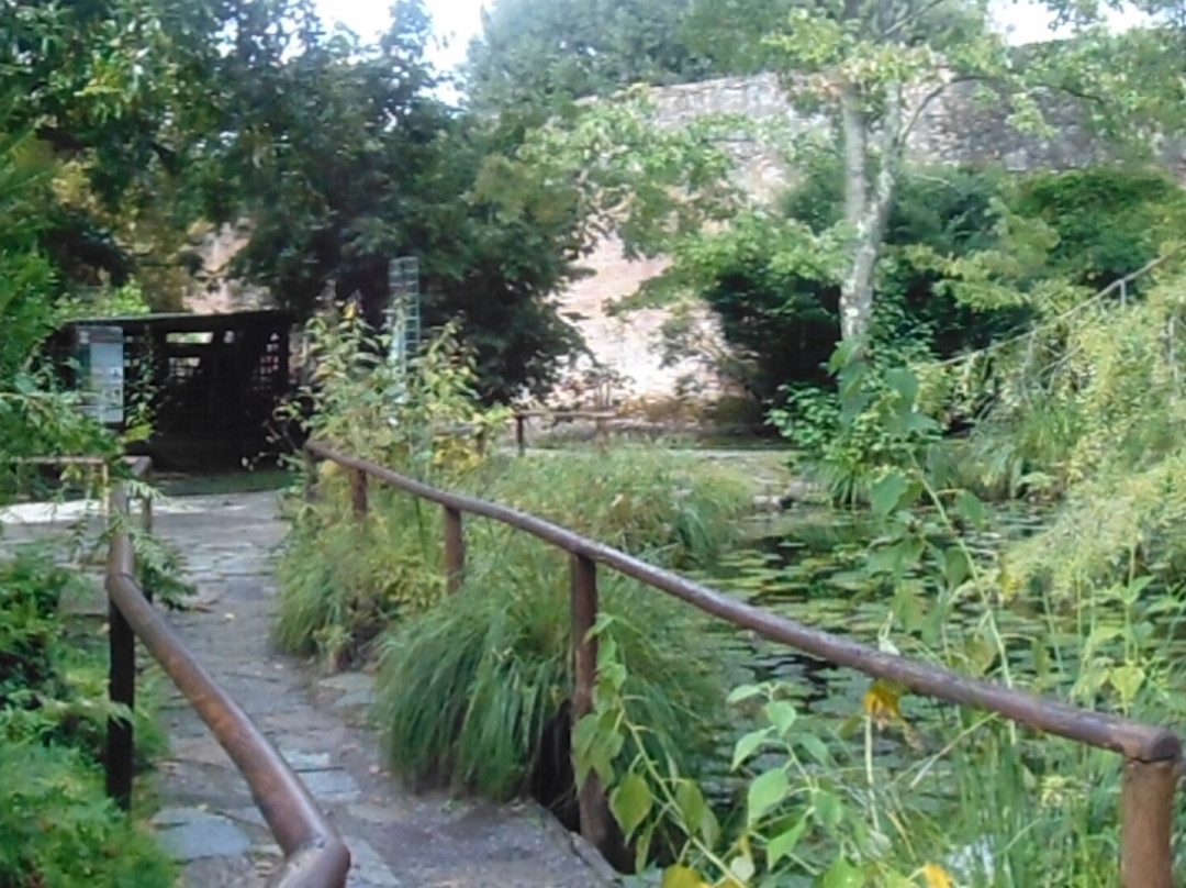 Orto Botanico di Lucca景点图片