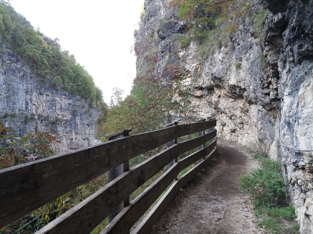 Sentiero nella Roccia per San Romedio景点图片