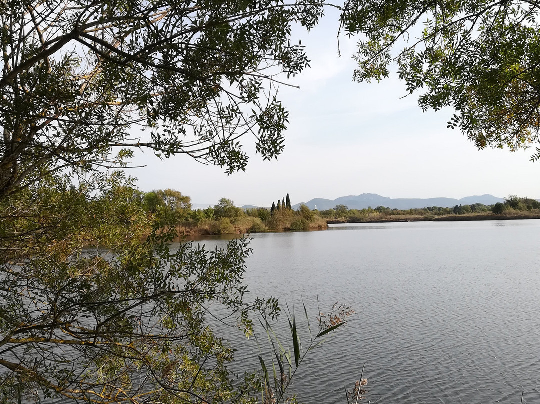 Etangs de Villepey景点图片