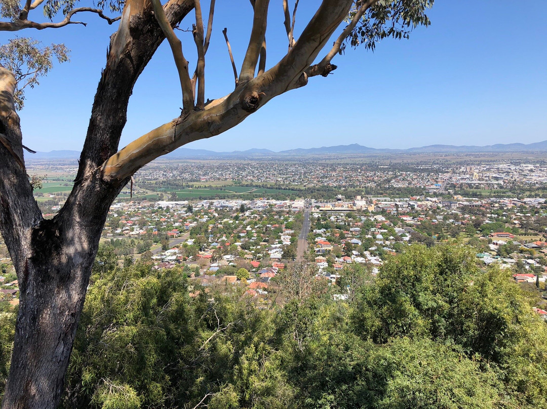 Oxley Scenic Lookout景点图片