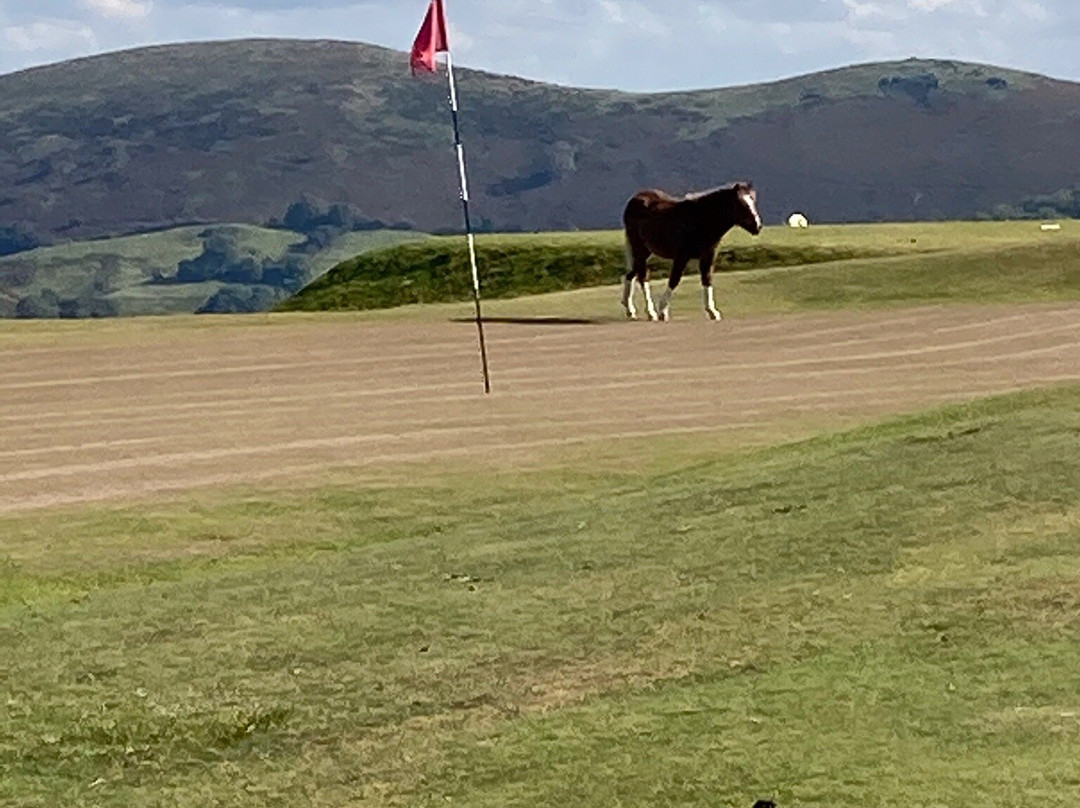 Church Stretton Golf Club景点图片