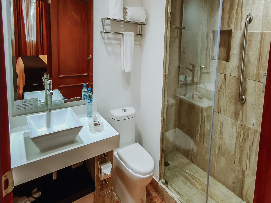 Wyndham Garden Tecnológico主图