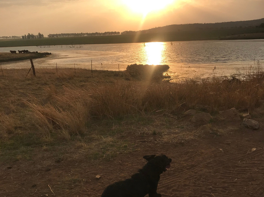 Dalmore Farm Guest House主图