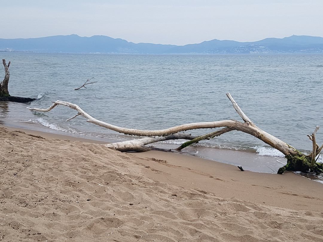 Platja De Sant Pere Pescador景点图片