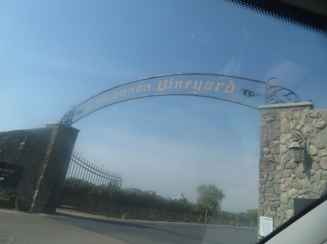 Concannon Vineyard-利佛摩必去景点