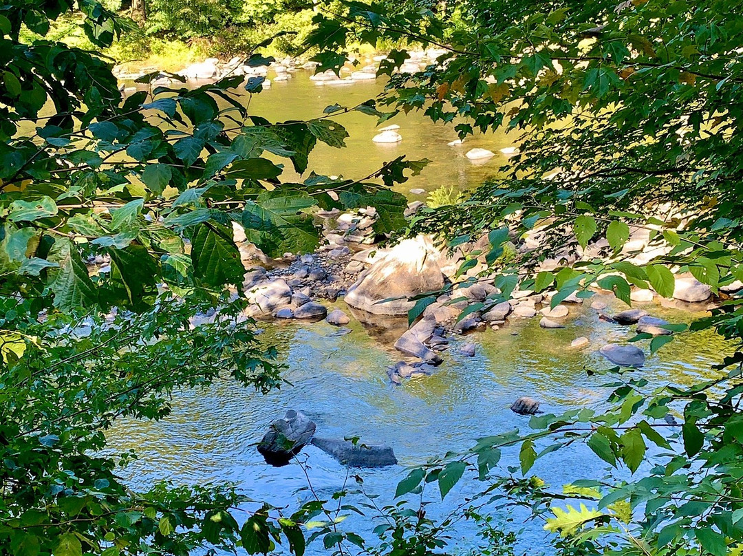 Farmington Canal Heritage Trail-Farmington必去景点