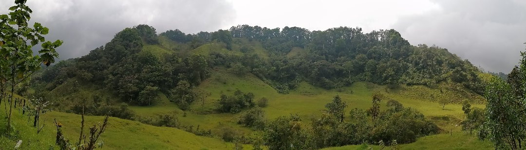 Cascadas De Cocora-萨伦托必去景点