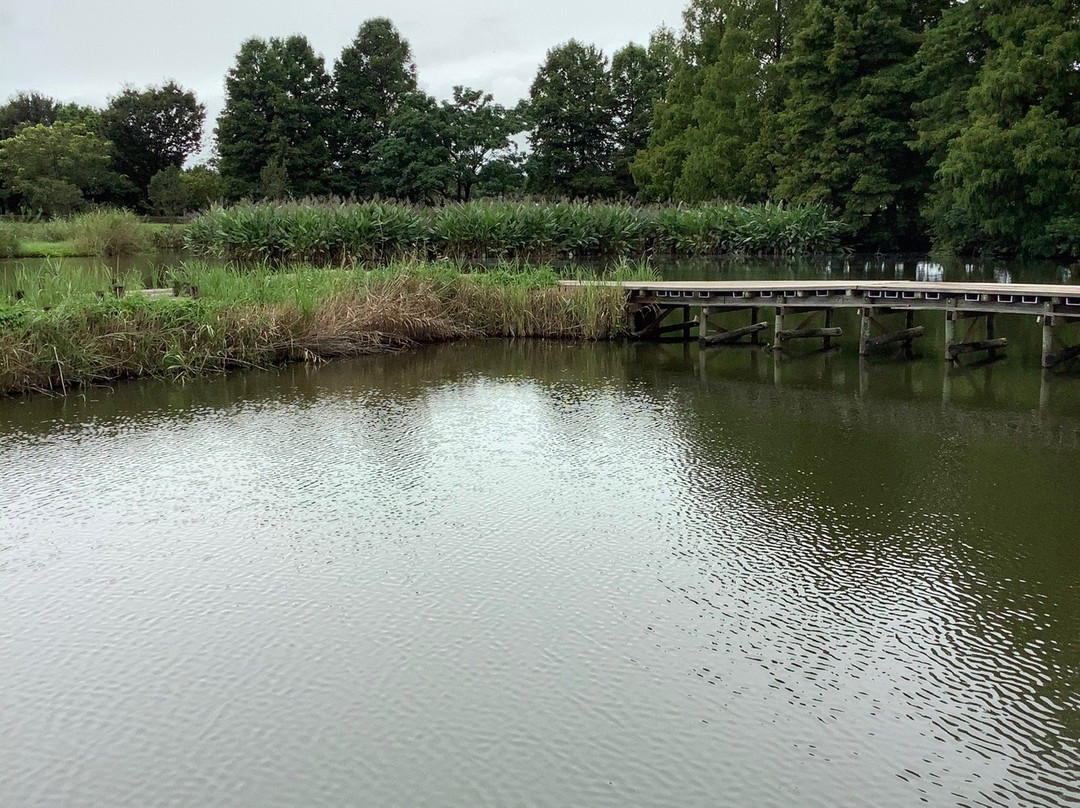 Saitama Aquarium-羽生市必去景点