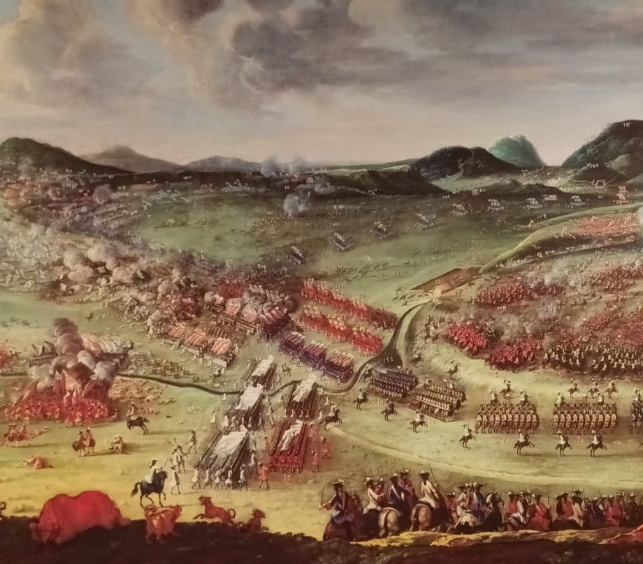 Museo Batalla de Almansa景点图片