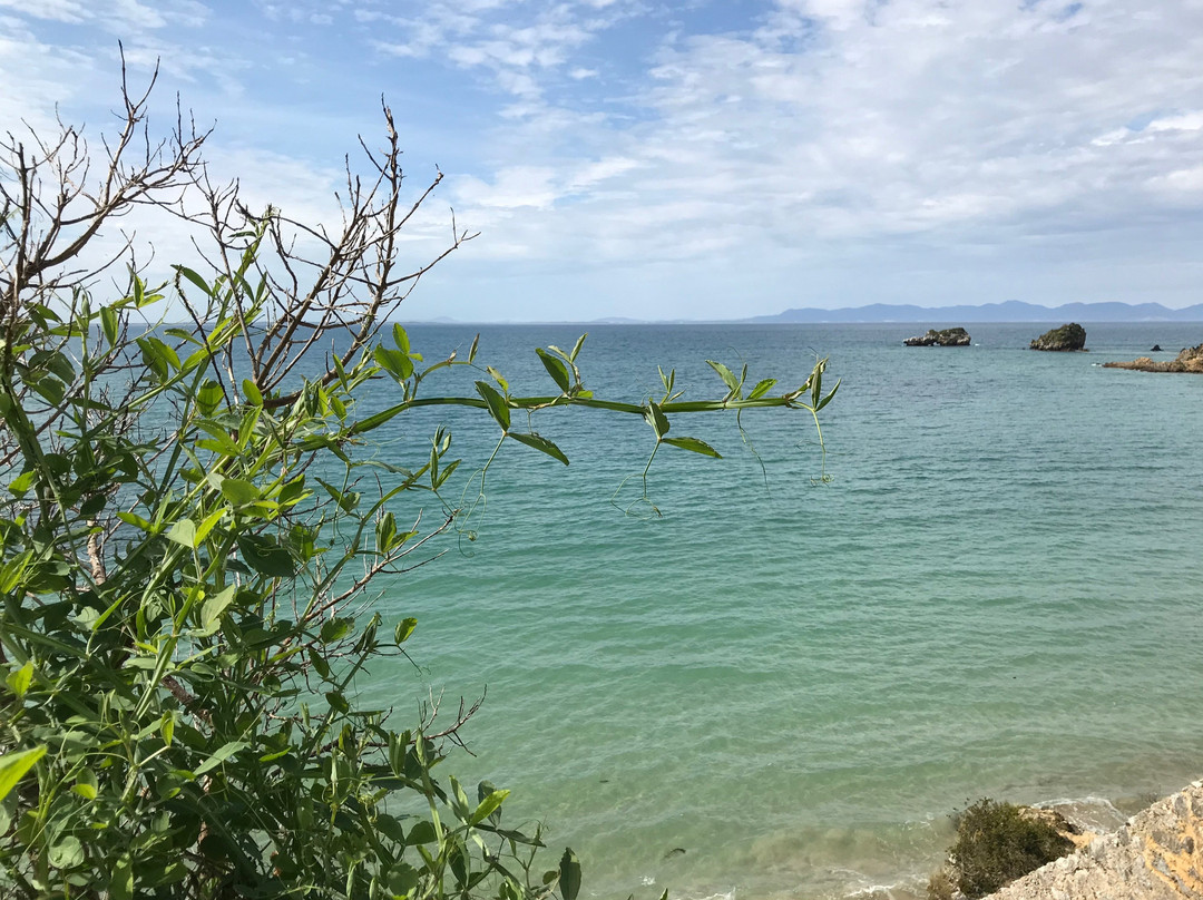 Cape Liptrap Coastal Park景点图片