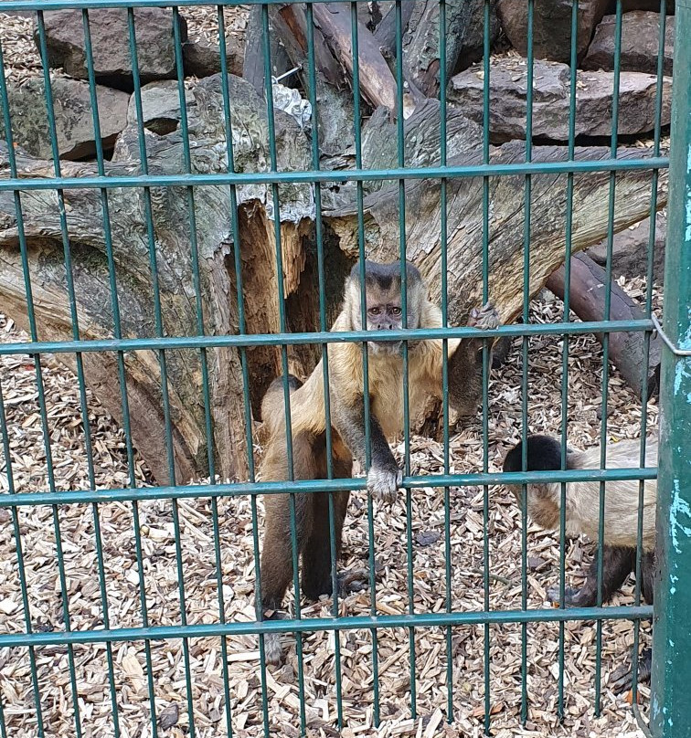 Zoo Kaiserslautern景点图片