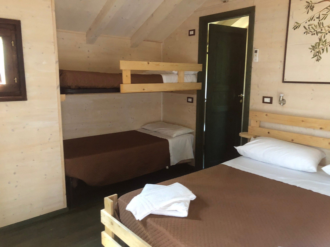 Palazzo Conforti主图