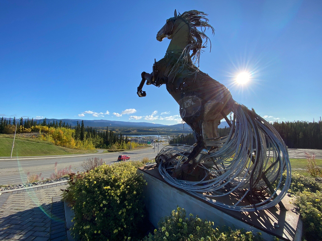 Whitehorse Who What Where Tours景点图片