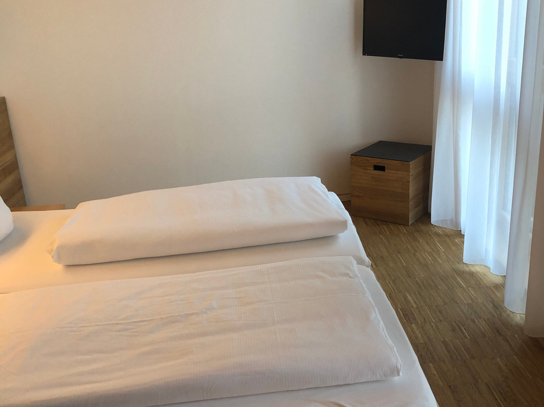 Green City Hotel Vauban主图