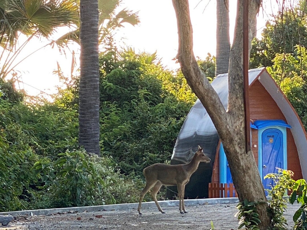 Alas Purwo National Park-巴纽旺宣必去景点