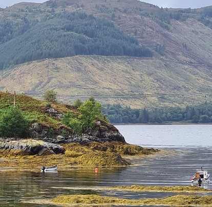 Shielbridge Caravan Park and Campsite主图