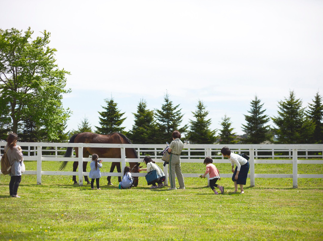 Somes saddle Sunagawa Factory and Showroom-砂川市必去景点