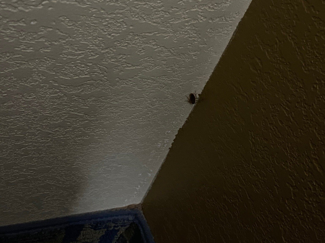 Quality Inn Terre Haute University Area主图