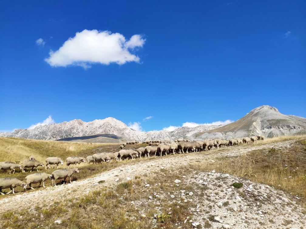 Campo Imperatore主图