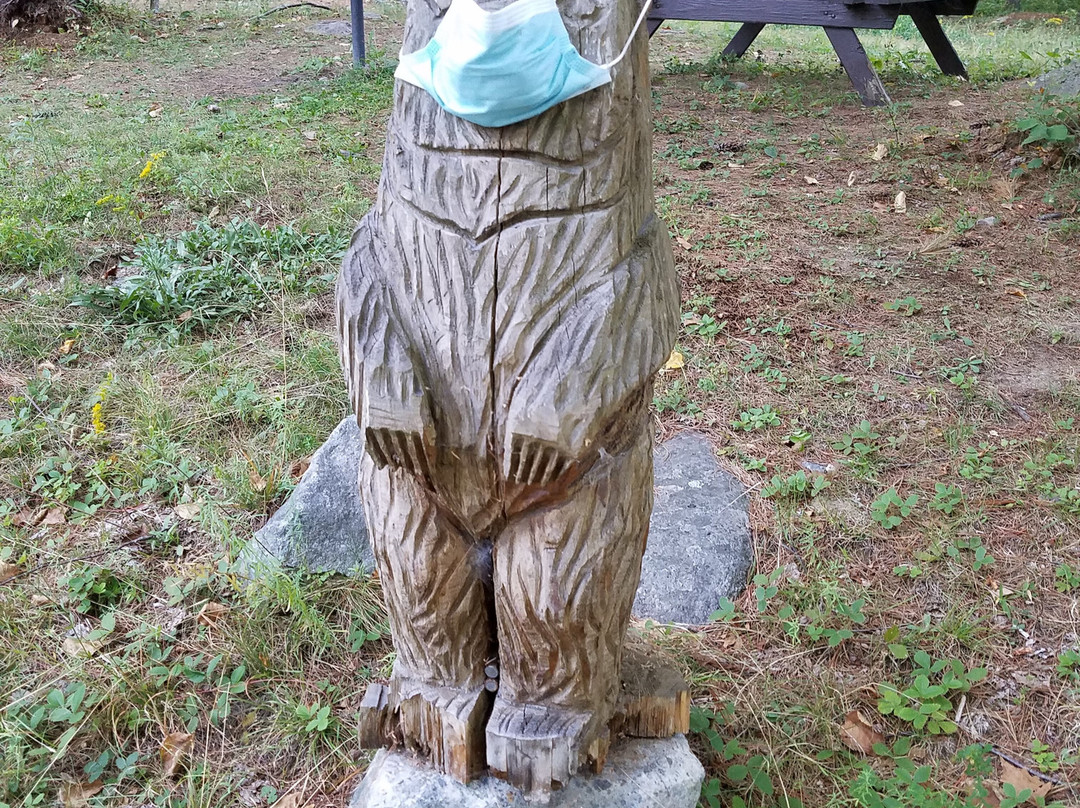 Wilderness Inn主图