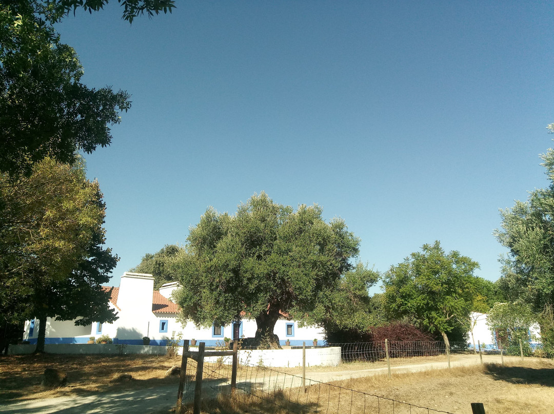 Monte do Serrado de Baixo主图