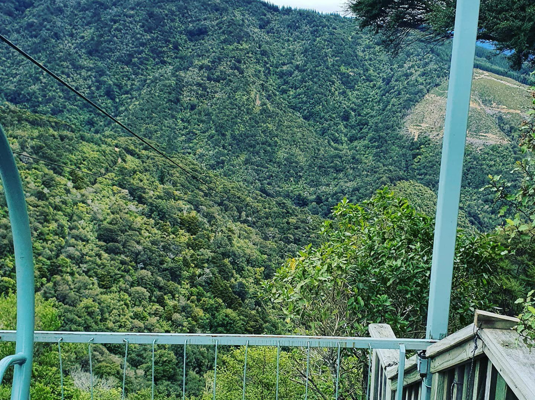 Cable Bay Adventure Park-尼尔森必去景点