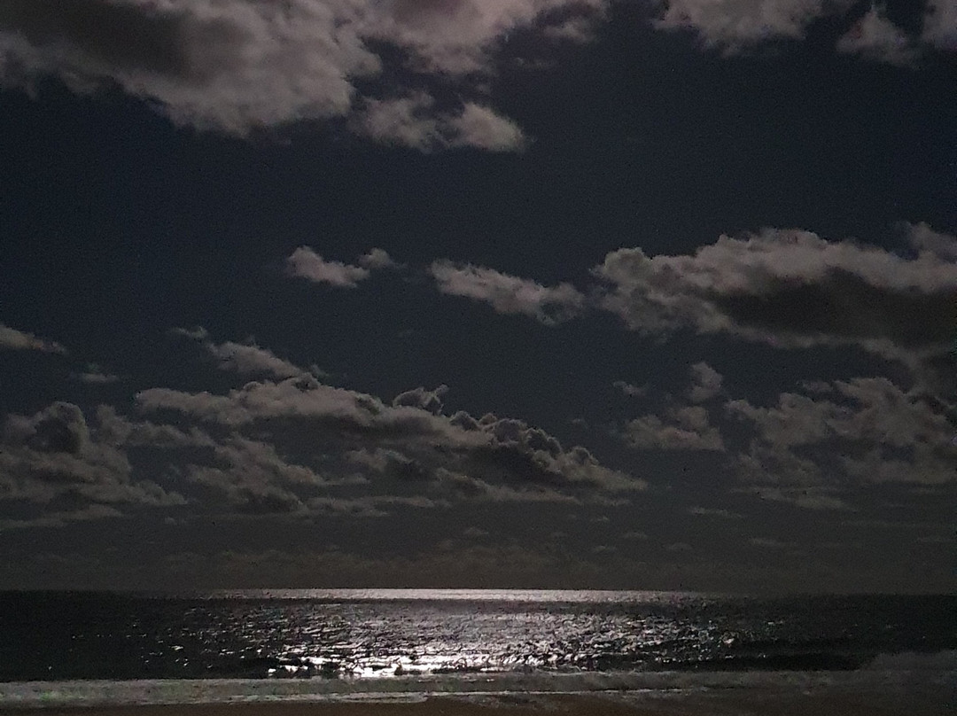 North Burleigh Beach-Miami必去景点