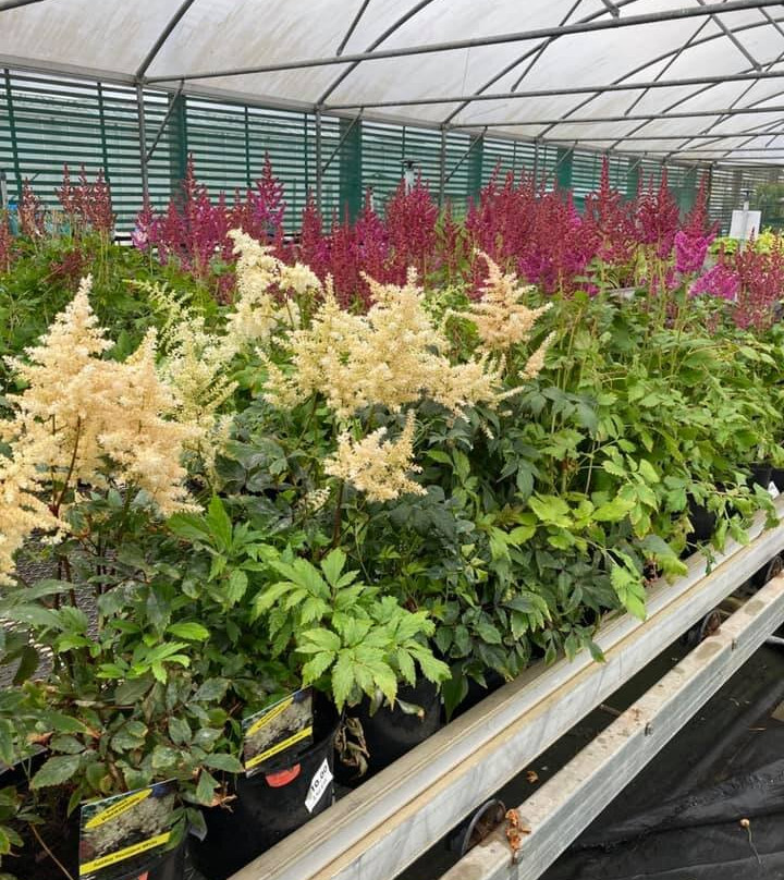 Cuckoo Bridge Nursery & Farm Shop景点图片