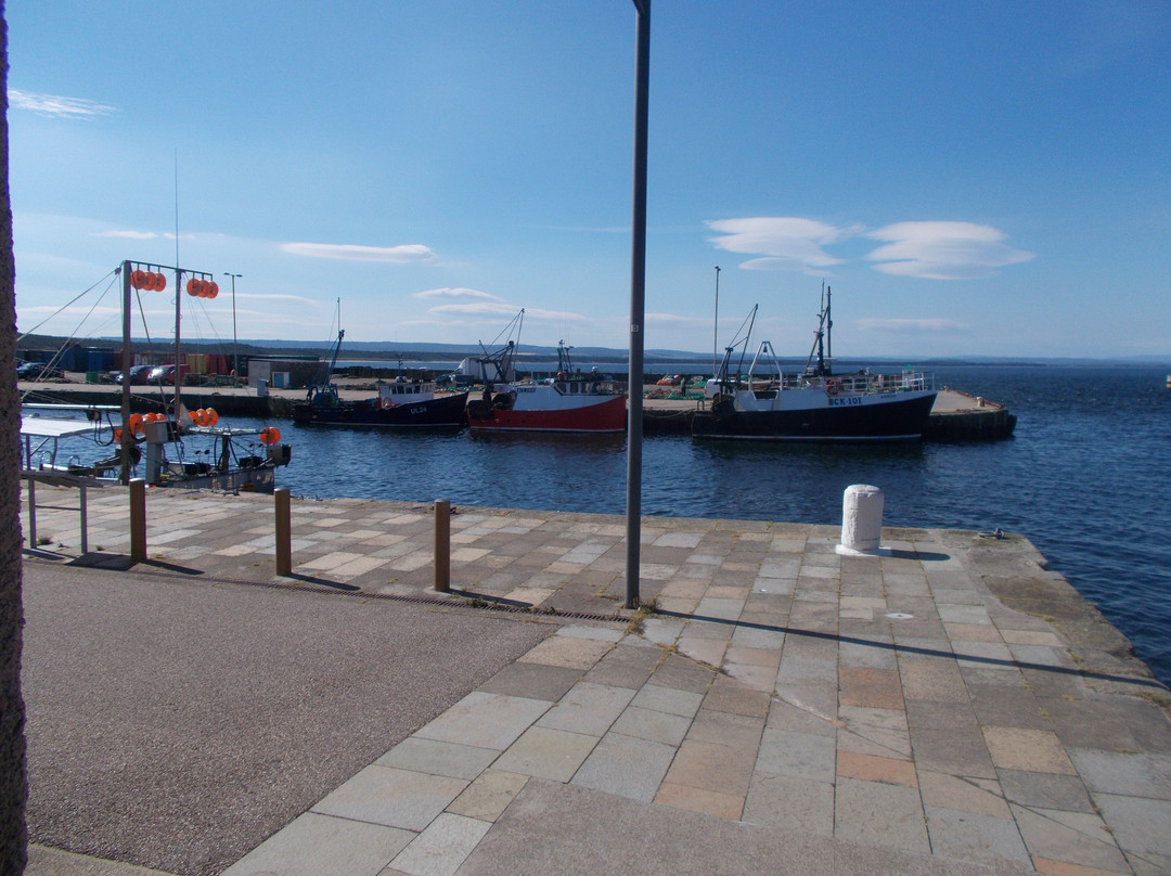 Burghead Harbour-Burghead必去景点