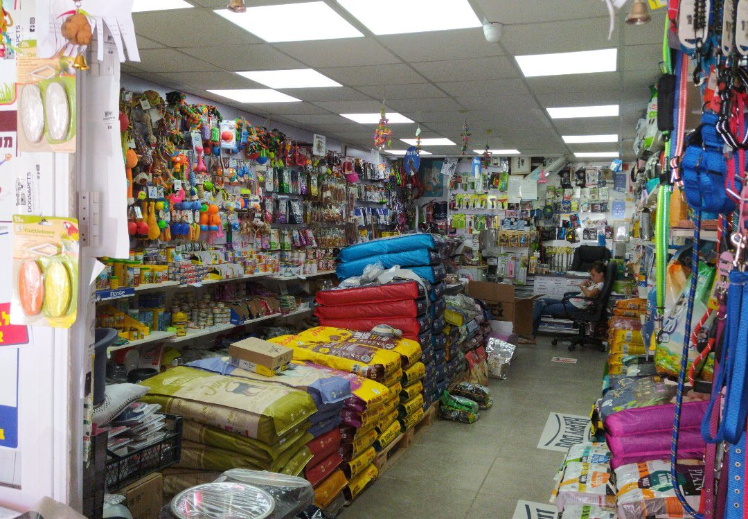 Dogs & Pets-Beit Shemesh必去景点