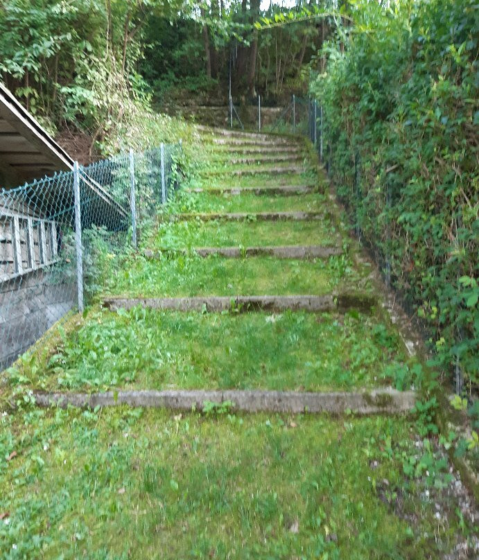 Chiesa di San Martino景点图片