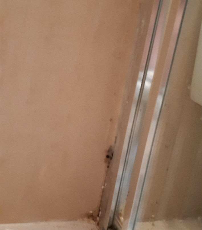 Hosteria Villa de Castro主图