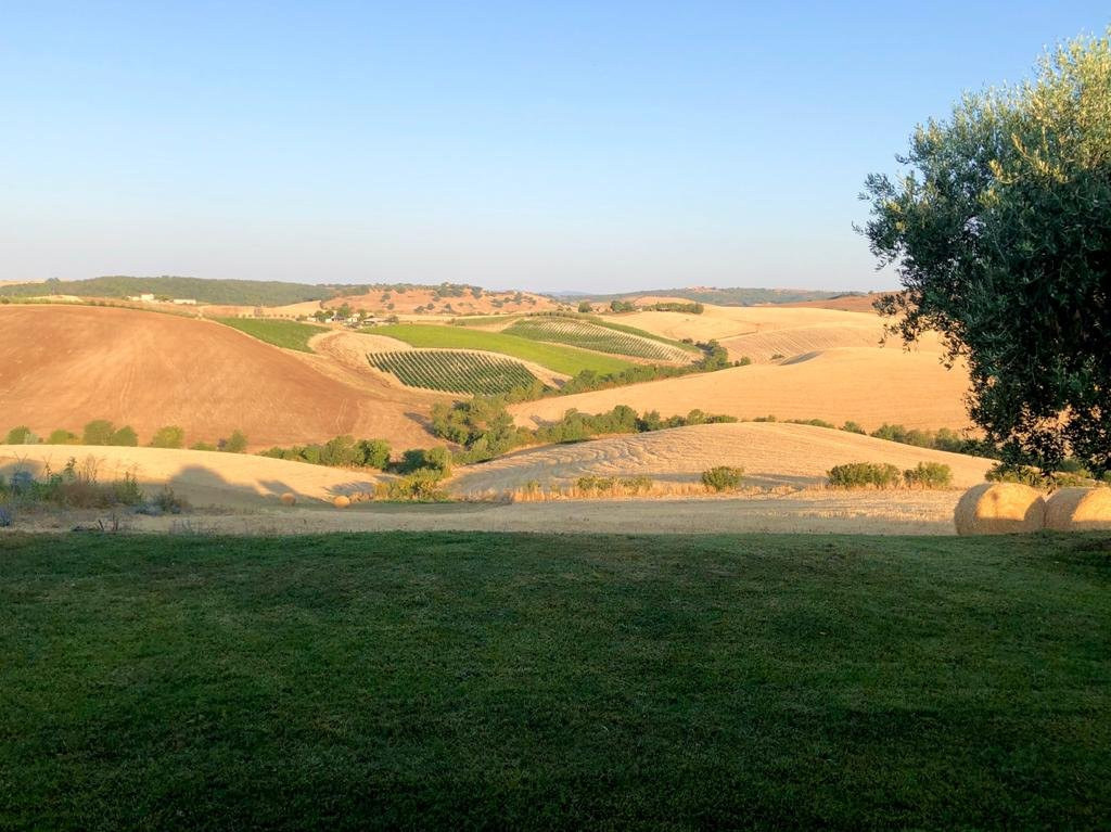 Agriturismo Poggio Tondo主图