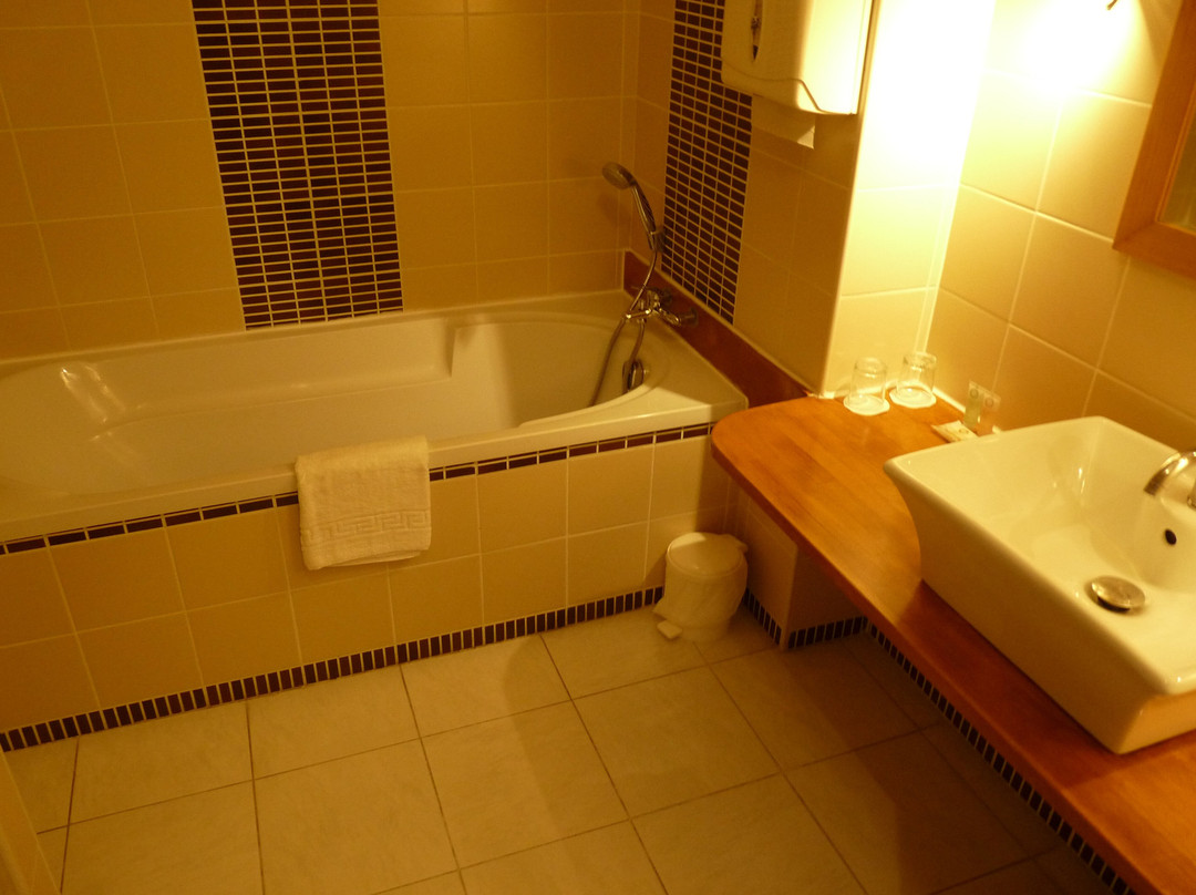 Best Western Golf d'Albon主图