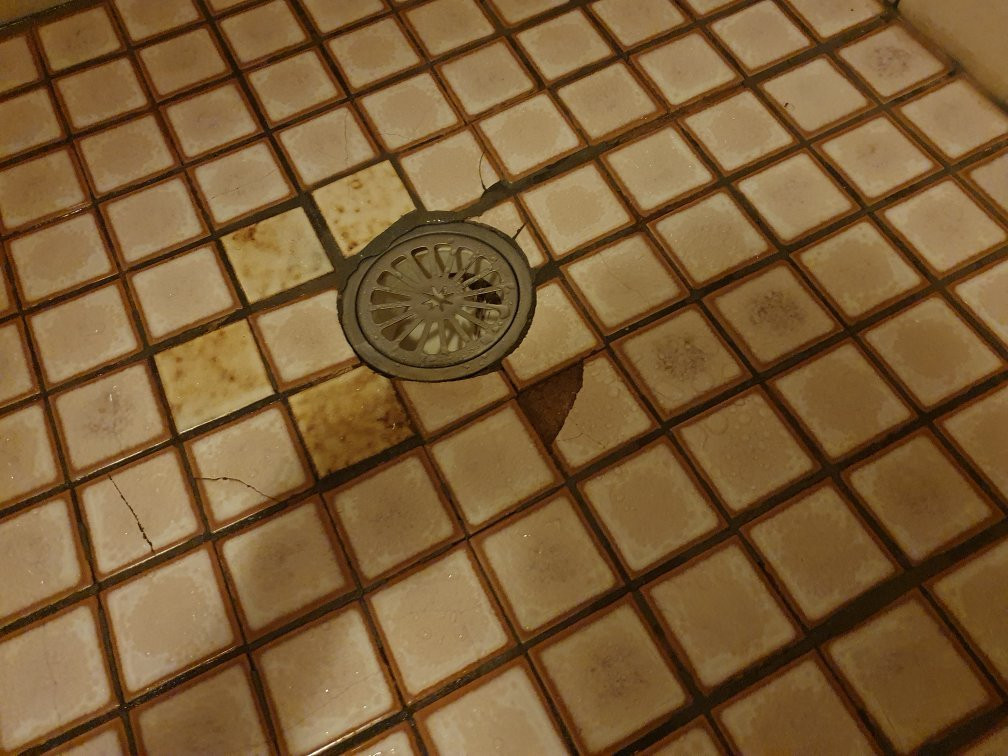 Alamo Motor Inn主图